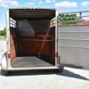 2010 Calico 2 Horse Trailer