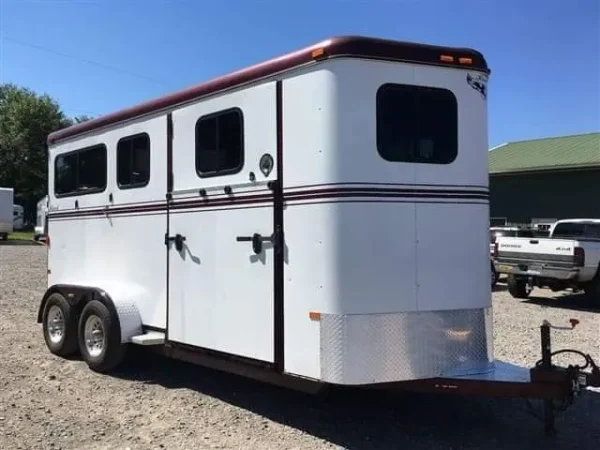 2007 Hawk 2 Horse Bumper Pull Side Ramp