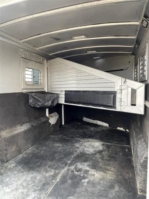 1999 Elite Custom 3 Horse Trailer