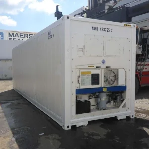 30 Feet Freezer Container Customized Mobile Cold Storage Cell Container / Reefer